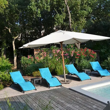 B&B La Palatine-3